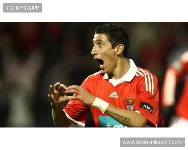 本菲卡迪马利亚出战成疑，影响进攻