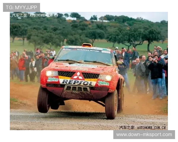 达喀尔拉力赛中国车手规模创新高,19台赛车出征 达喀尔拉力赛中国车手规模创新高,19台赛车出征